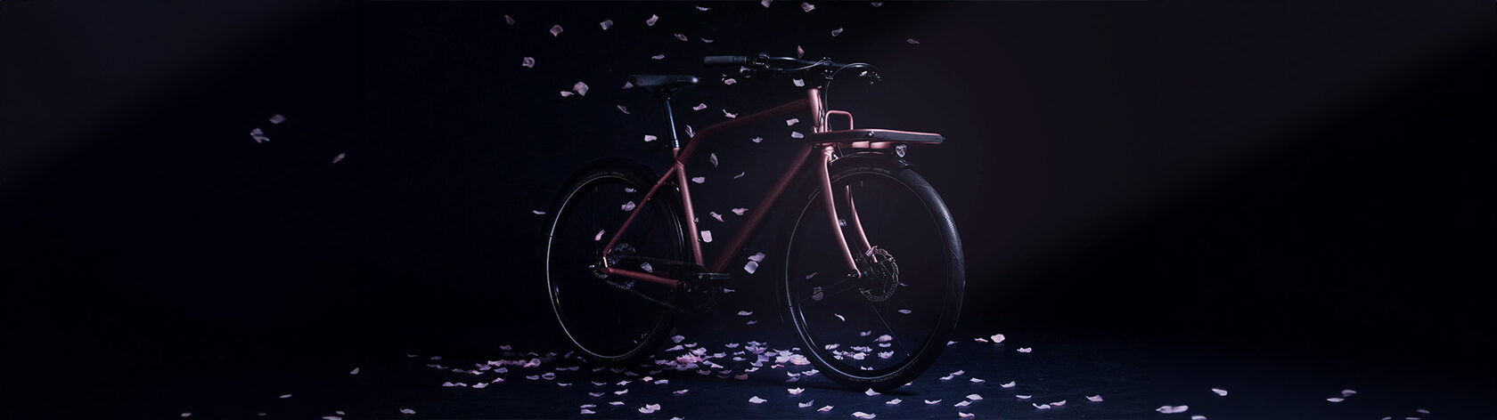 Bike Schindelhauer Gustav 8-Speed 50 Moonlight Rose