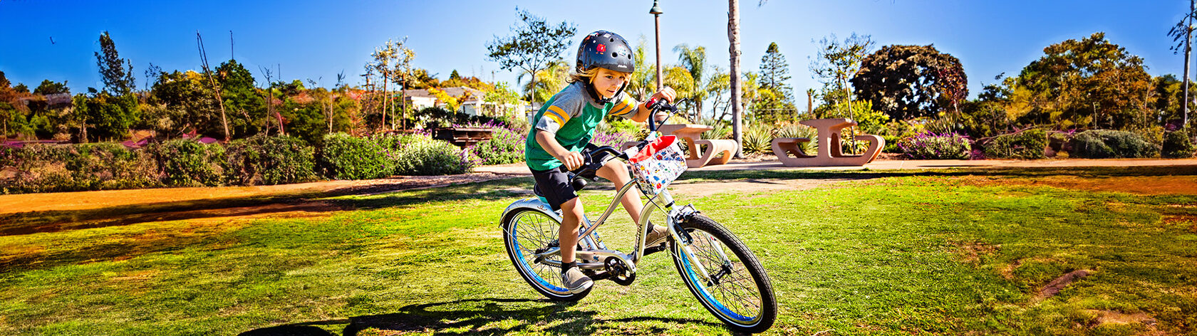 Kids' Bike Electra EBC 3000 1-speed Sprocket 20