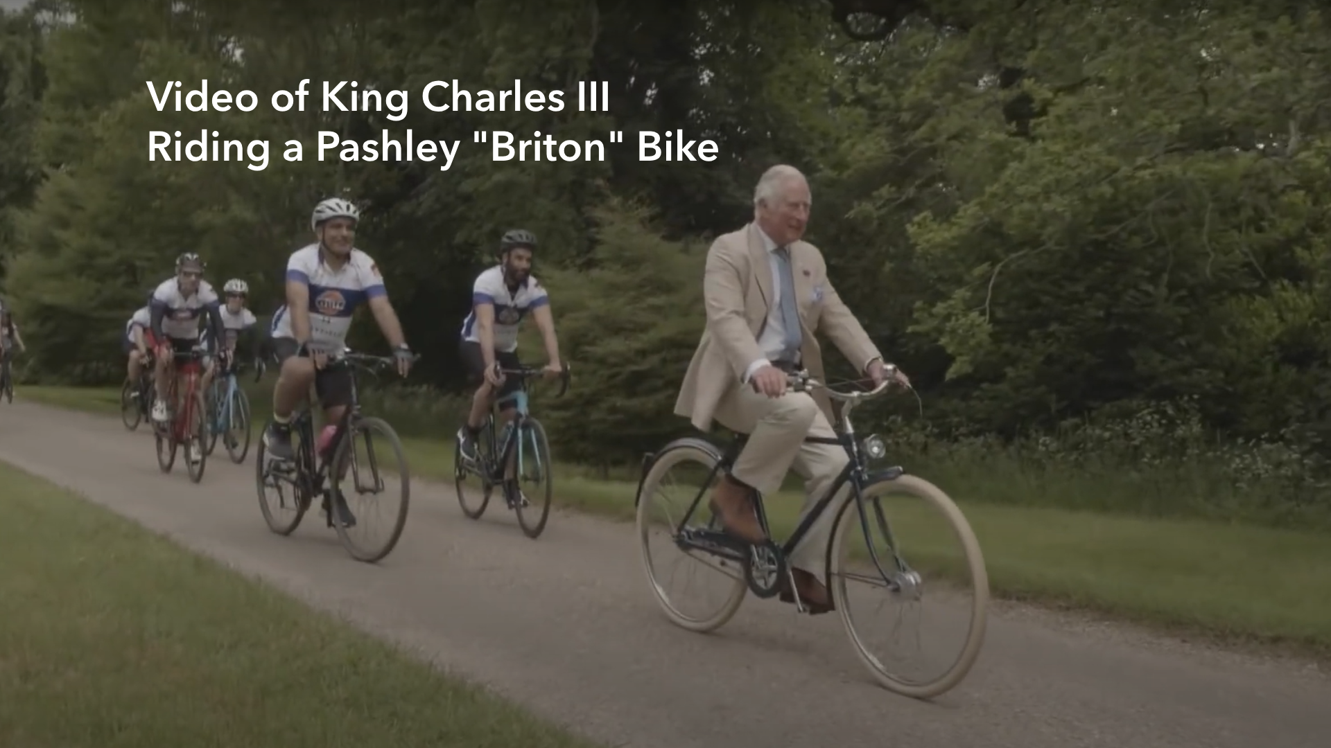 Men's Bike Pashley Briton Oxblood 22.5