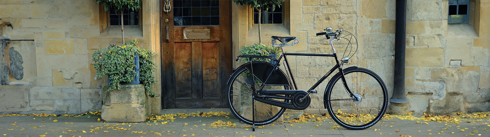 Велосипед Pashley Roadster Classic 3 Green 22.5