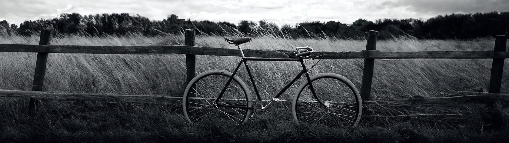 Men's Bike Pashley Guvnor 3 Black 20.5