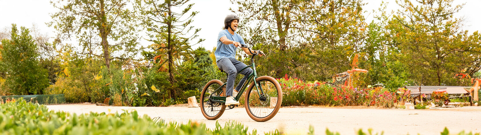 Men's E-bike Electra Townie GO! 7D EQ Step Over Evergreen Metallic