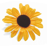 Цветок для велосипеда Electra Sunflower Yellow