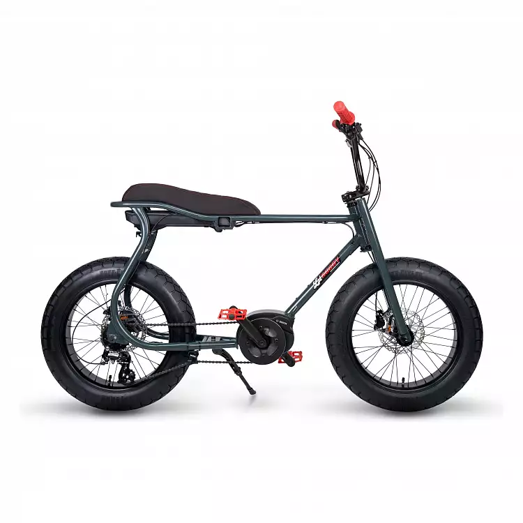 Электровелосипед Ruff Cycles Lil'Buddy SPECIAL EDITION Bosch Active Line 300 Wh Anthracite