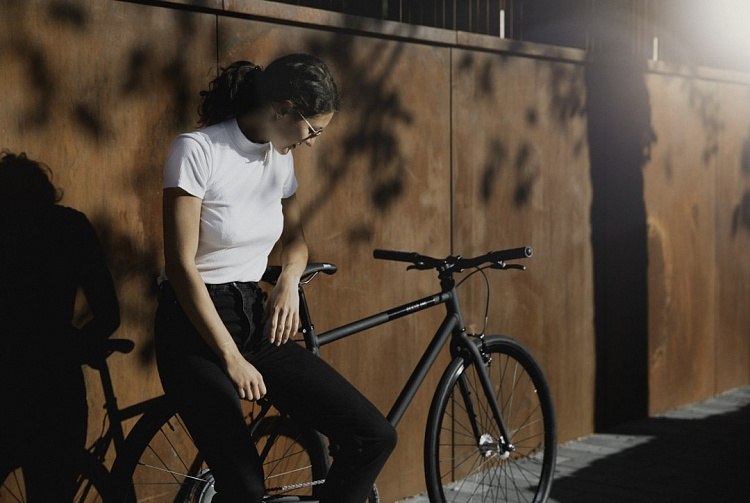 Электровелосипед FIXIE Inc. Backspin Zehus «All in One» Grey 46 см