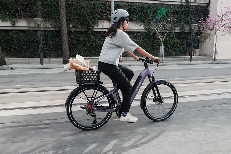 Электровелосипед Aventon Level 4 ADV ST Matte Black LG
