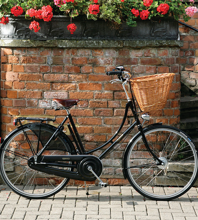 Велосипед Pashley Princess Sovereign 8 Green 20"