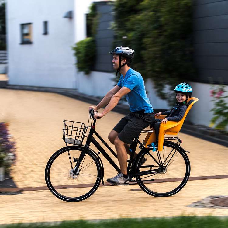 Детское кресло для велосипеда Thule RideAlong Lite Child Bike Seat Light Grey