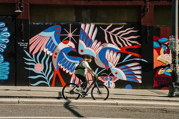 Электровелосипед Aventon Soltera 3 ADV Midnight Black XL