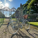 Велосипед Pashley Britannia 5 Platinum Champagne 17.5