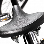 Велосипед Electra Ghostrider 3i Step Over