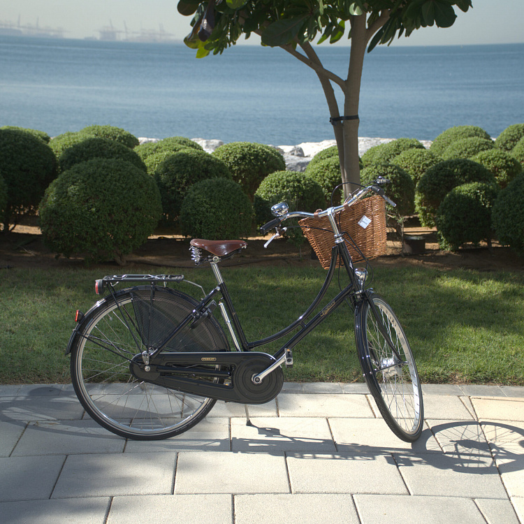 Велосипед Pashley Princess Sovereign 8 Green 20"