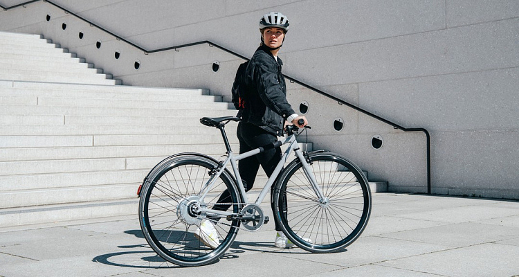 Электровелосипед FIXIE Inc. Backspin Zehus «All in One» Grey 46 см